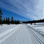 Fantastic Forest With Panoramic View Tatil Evi Jaren