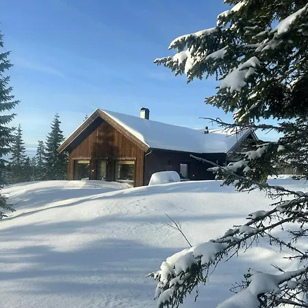 Fantastic Forest With Panoramic View Vakantiehuis *