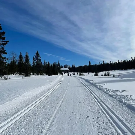 Fantastic Forest With Panoramic View Vakantiehuis Jaren