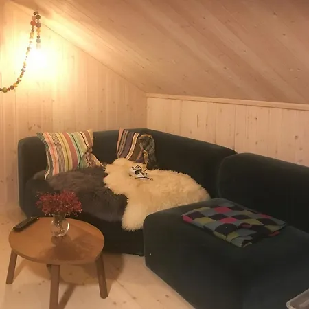 Fantastic Forest With Panoramic View Jaren