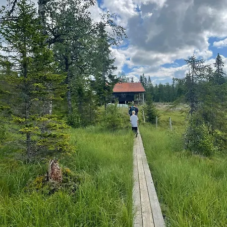Fantastic Forest With Panoramic View Nyaraló