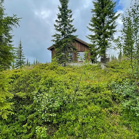 Fantastic Forest With Panoramic View *