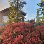 Fantastic Forest With Panoramic View