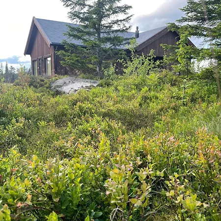 Fantastic Forest With Panoramic View * Jaren