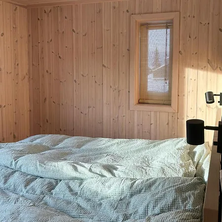 Fantastic Forest With Panoramic View