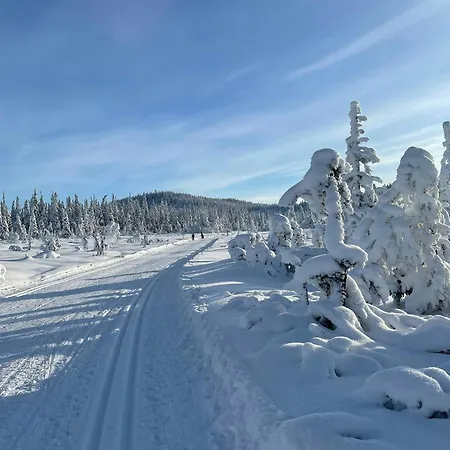 Fantastic Forest With Panoramic View בית נופש