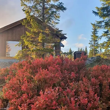 Fantastic Forest With Panoramic View