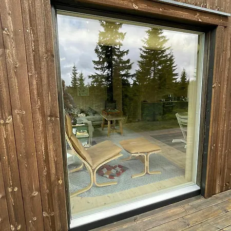 Fantastic Forest With Panoramic View Jaren