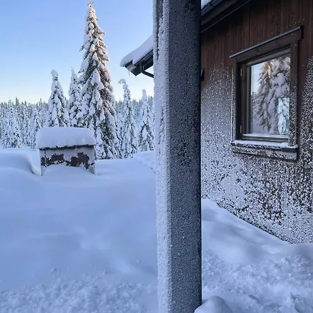 Fantastic Forest With Panoramic View Vakantiehuis *